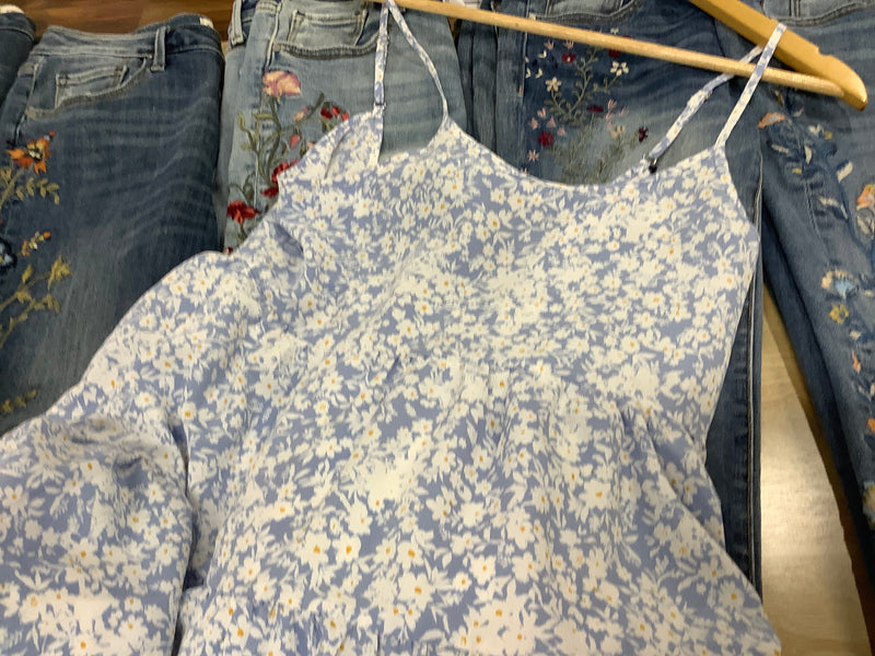 EC blue jay dress